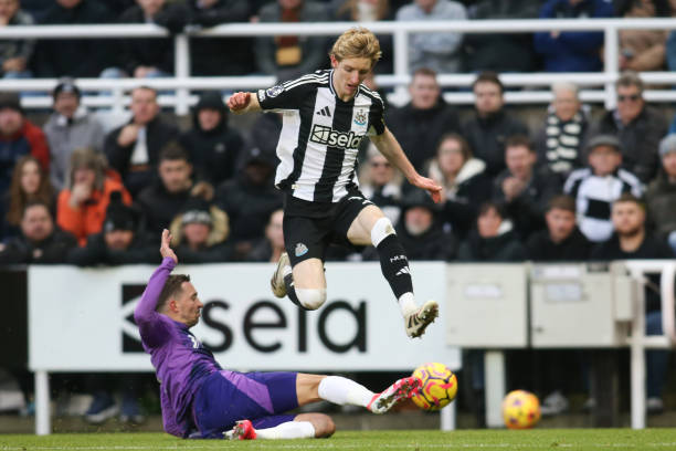 定状态可能 定状态可能